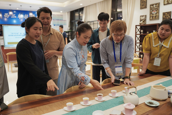 观察不同茶品的茶汤颜色.jpg