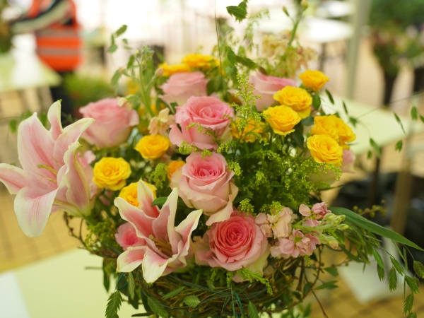 DSC02356.JPG