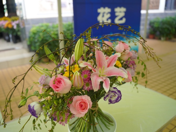 DSC02346.JPG