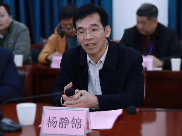 杨.png