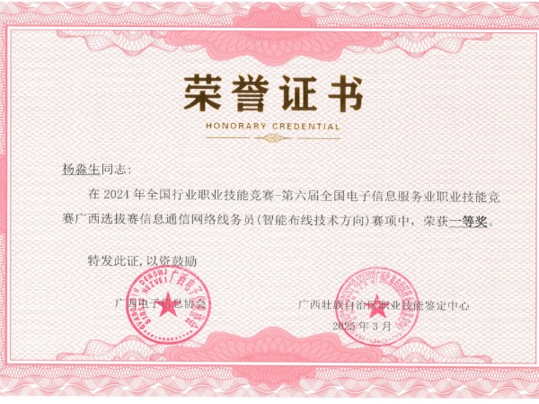 杨副-信息通信网络线务员广西选拔赛一等奖.jpg